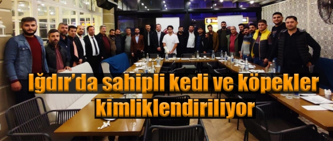 Iğdır'da sahipli kedi ve köpekler kimliklendiriliyor