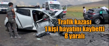 Kars'ta trafik kazası 1 kişi hayatını kaybetti 8 yaralı