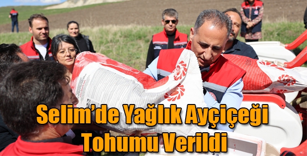 Kars'ın Selim İlçesinde Çiftçilere Yağlık Ayçiçeği Tohumu Verildi
