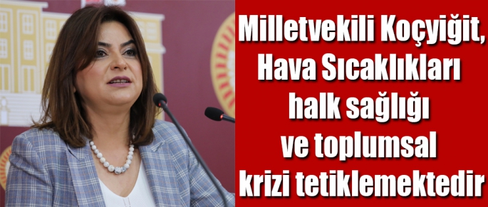 Kars Milletvekili Gülüstan Kılıç Koçyiğit Hava sıcaklıkları halk sağlığı ve toplumsal krizi tetiklemektedir