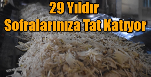 KARS ŞEKER FABRİKASI, 29 YILDIR SOFRALARINIZA TAT KATIYOR