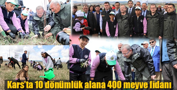 Kars'ta 10 dönümlük alana 400 meyve fidanı