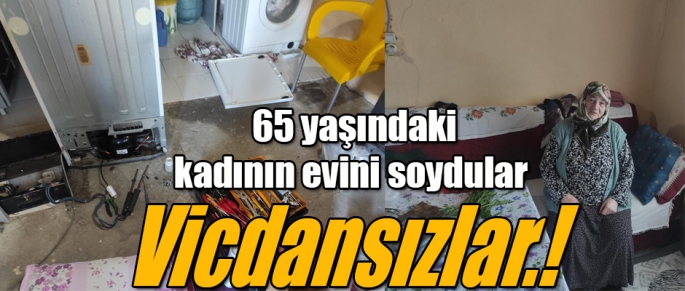 Kars'ta Vicdansızlar 65 yaşındaki yaşlı kadının evini soydular