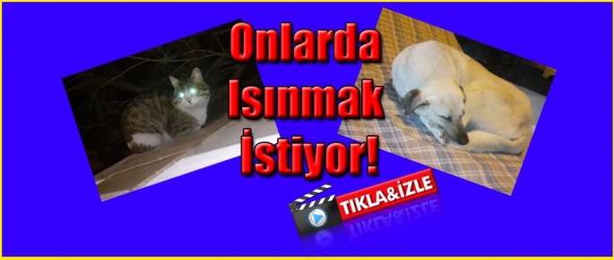 ONLARDA ISINMAK İSTİYOR!