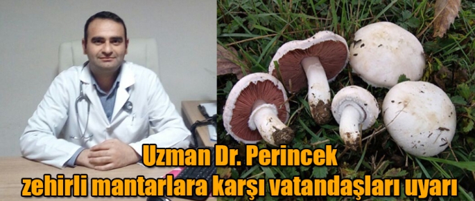 Uzman Dr. Gökhan Perincek, zehirli mantarlara karşı vatandaşları uyarı