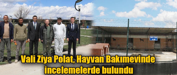 Vali Ziya Polat, Selim İlçesi Hayvan Bakımevinde incelemelerde bulundu