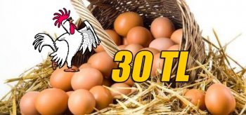 YUMURTA 30 TL OLDU