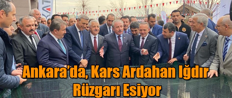 Ankara'da, Kars Ardahan Iğdır Rüzgarı Esiyor