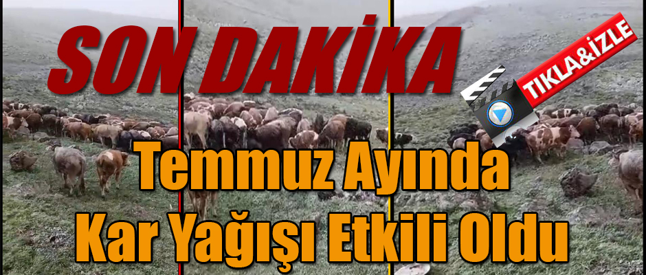 Ardahan'ın Bülbülan Yaylasında Temmuz Ayında Kar Yağışı 