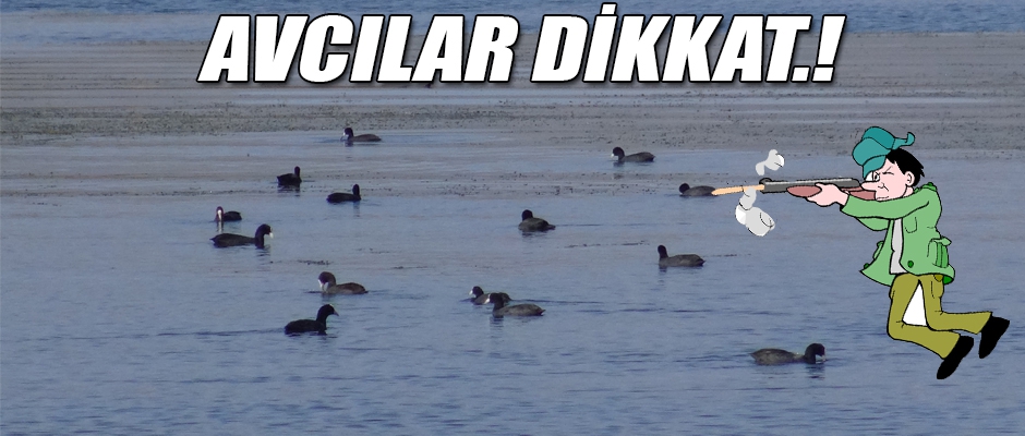 AVCILAR DİKKAT.!