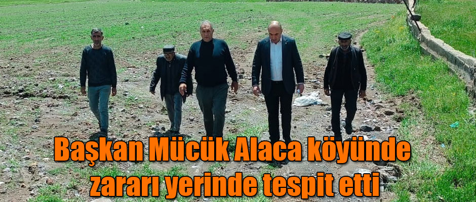 Başkan Mücük zararı yerinde tespit etmek için Alaca Köyüne gitti
