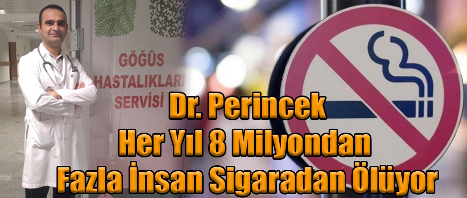 Dr. Perincek, Her Yıl 8 Milyondan Fazla İnsan Sigaradan Ölüyor