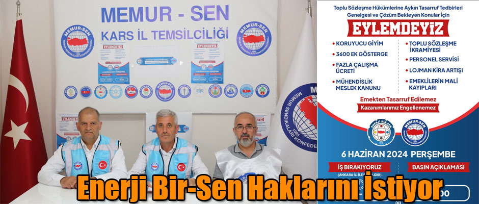 Enerji Bir-Sen Haklarını İstiyor