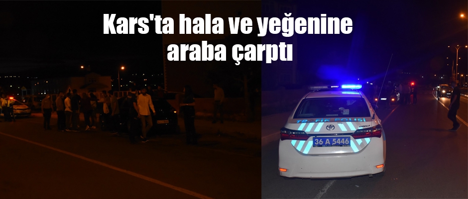 Hala ve Yeğen kazada yaralandı