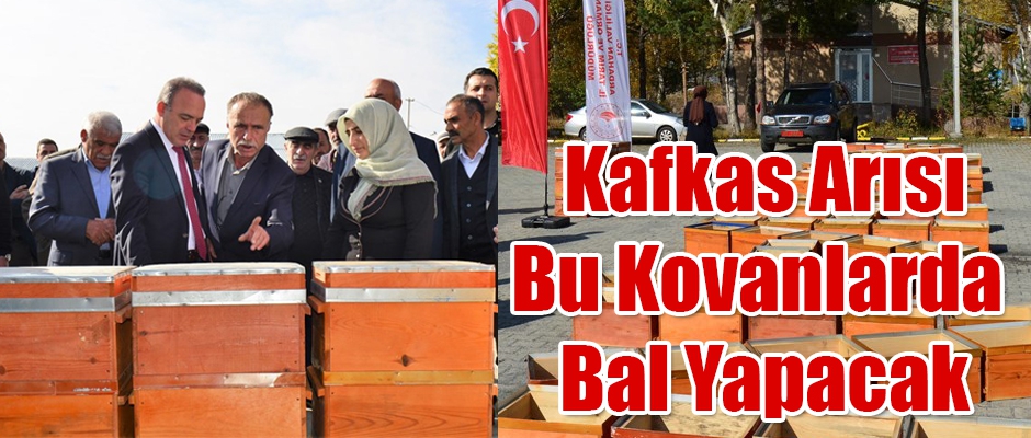 Kafkas Arısı Bu Kovanlarda Bal Yapacak