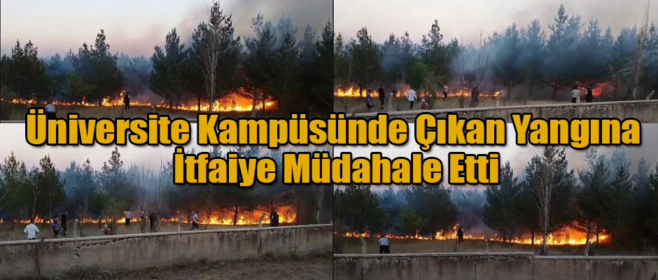 Kafkas Üniversitesi Kampüsün’de Çıkan Yangına İtfaiye Ekipleri Müdahale Etti. 