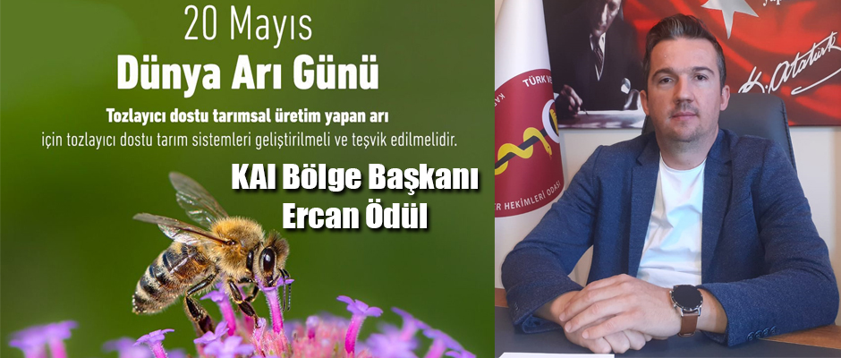 KAI Bölge Başkanı Ödül, 20 Mayıs Dünya Arı Günü Hakkında Açıklama Yaptı