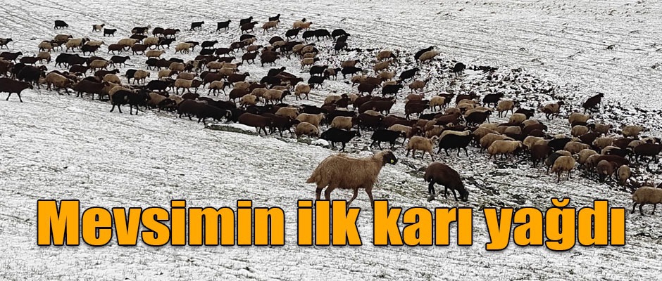 Kars'a Mevsimin İlk Karı Yağdı