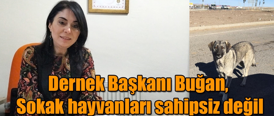 Kars Can Dostları Derneği Başkanı Berivan Buğan, Sokak Hayvanları Sahipsiz Değil