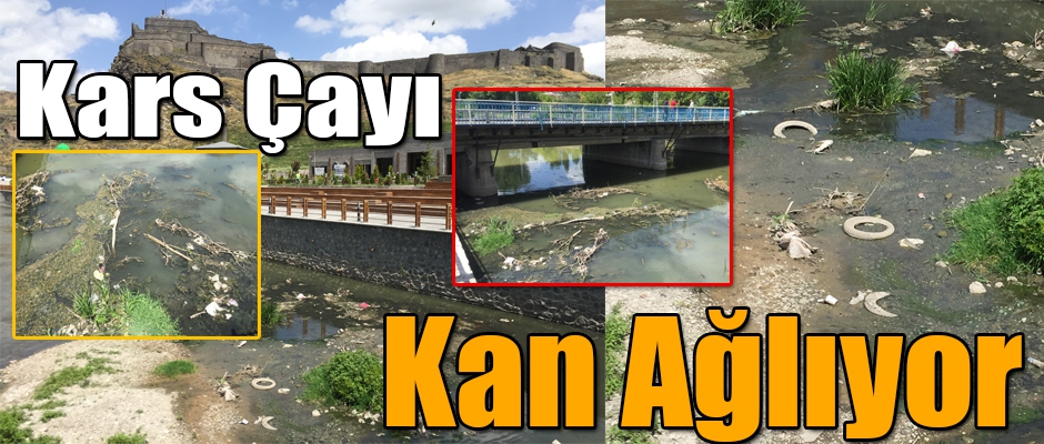 KARS ÇAYI KAN AĞLIYOR