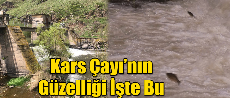 KARS ÇAYININ GÜZELLİĞİ İŞTE BU