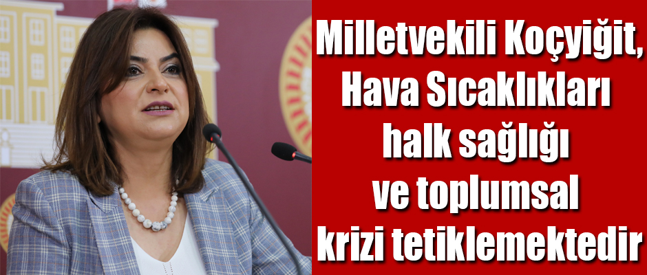 Kars Milletvekili Gülüstan Kılıç Koçyiğit Hava sıcaklıkları halk sağlığı ve toplumsal krizi tetiklemektedir