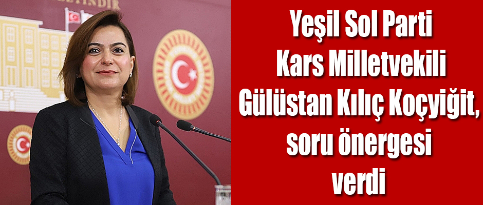 Kars Milletvekili Gülüstan Kılıç Koçyiğit, soru önergesi verdi