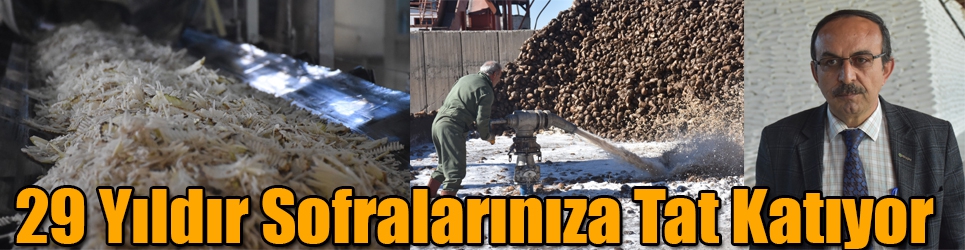 KARS ŞEKER FABRİKASI, 29 YILDIR SOFRALARINIZA TAT KATIYOR