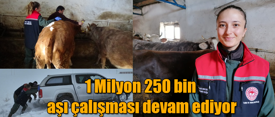 Kars’ta 1 Milyon 250 bin aşı çalışması devam ediyor