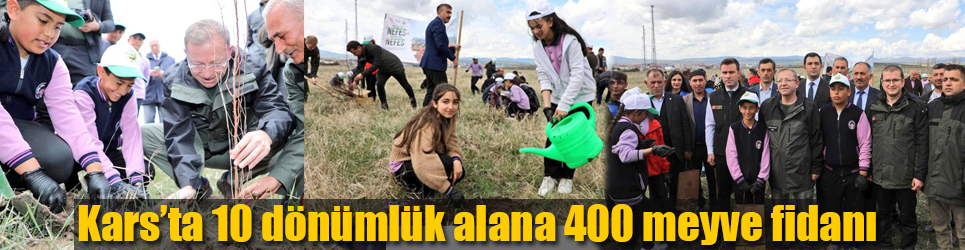 Kars'ta 10 dönümlük alana 400 meyve fidanı
