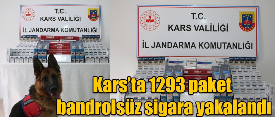 Kars'ta 1293 paket bandrolsüz sigara yakalandı
