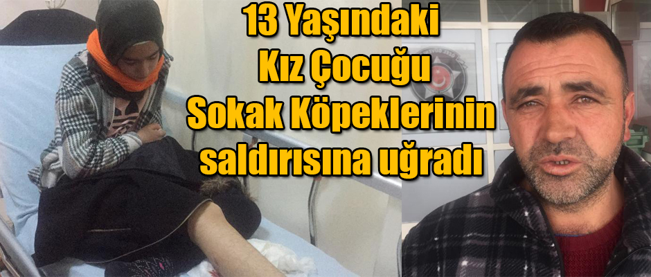 KARS'TA 13 YAŞINDAKİ HAYRUNNİSA SOKAK KÖPEKLERİNİN SALDIRISINA UĞRADI