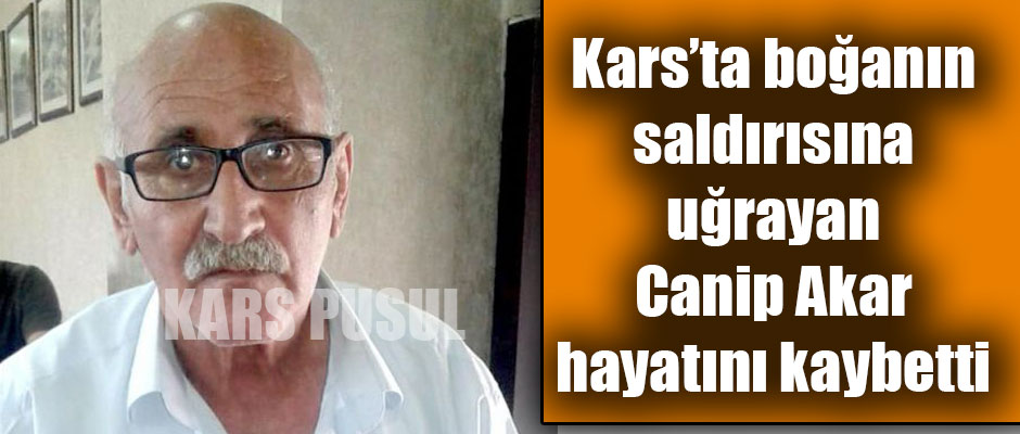 Kars'ta boğanın saldırısına uğrayan Canip Akar hayatını kaybetti 