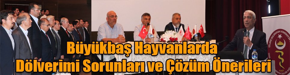 Kars'ta Büyükbaş Hayvanlarda Dölverimi Sorunları ve Çözüm Önerileri