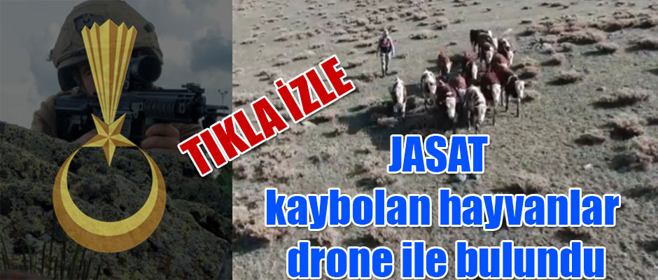 Kars’ta JASAT ekipleri kaybolan hayvanlar drone ile bulundu