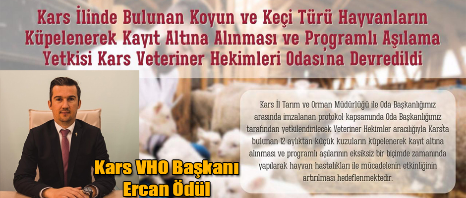 Kars'ta Küçükbaş Hayvanların Küpelenmesi ve Aşılanması Yetki Devri protokolü imzalandı