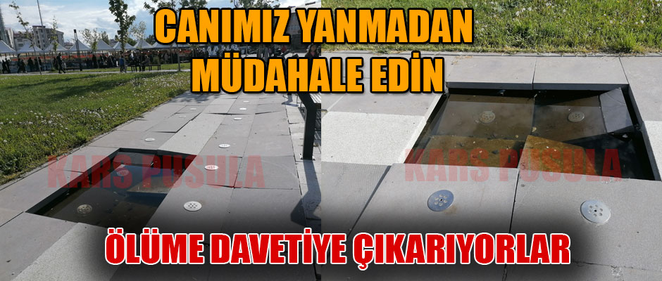 Kars'ta Ölüm Çukurlarına Canımız Yanmadan Müdahale Edin 