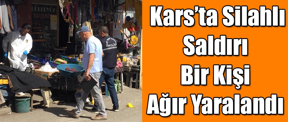 Kars'ta Silahlı Saldırı Bir Kişi Ağır Yaralandı