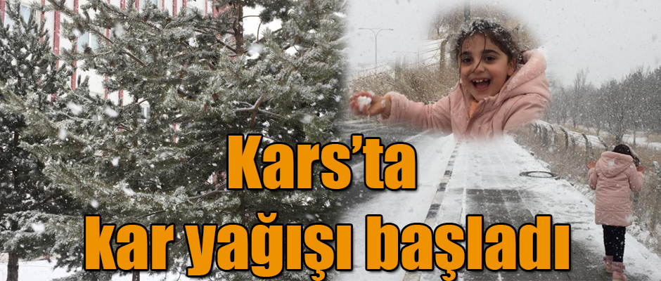 Kars'ta Yoğun Kar Yağışı Başladı