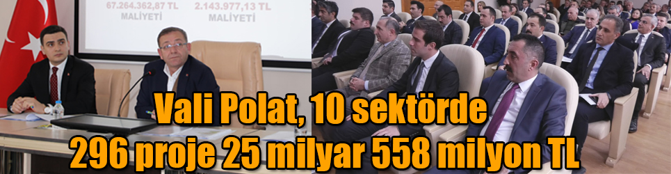 Kars Valisi Ziya Polat, 10 sektörde 296 proje 25 milyar 558 milyon TL