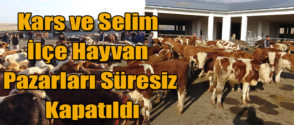 KARS VE SELİM İLÇE HAYVAN PAZARLARI SÜRESİZ KAPATILDILAR