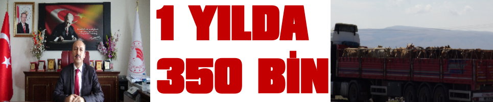 1 Yılda 350 bin