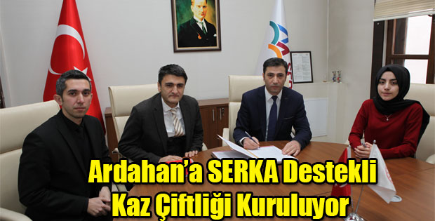 ARDAHAN'A SERKA DESTEKLİ KAZ ÇİFTLİĞİ KURULUYOR