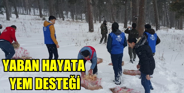 ARDAHAN'DA YABAN HAYATA YEM DESTEĞİ