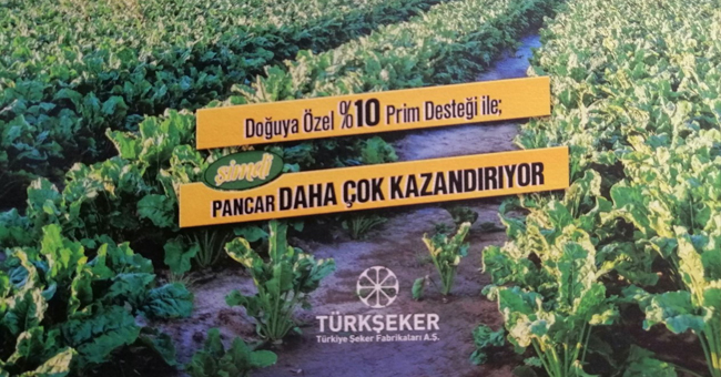 Doğuya Özel % 10 Prim Desteği ile; Şimdi Pancar Daha Çok Kazandıracak