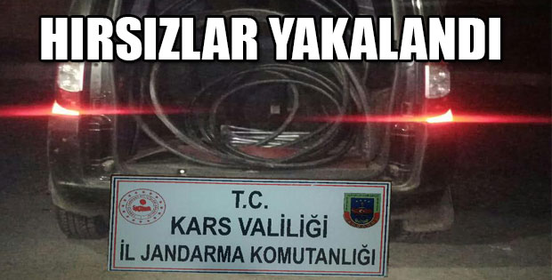 HIRSIZLAR YAKALANDI