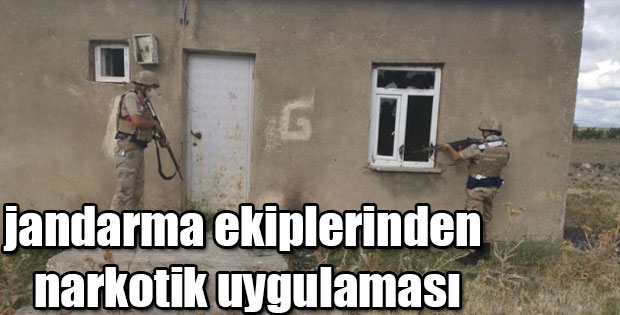 JANDARMA EKİPLERİNDEN NARKOTİK UYGULAMASI