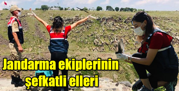 JANDARMA EKİPLERİNİN ŞEFKATLİ ELLERİ