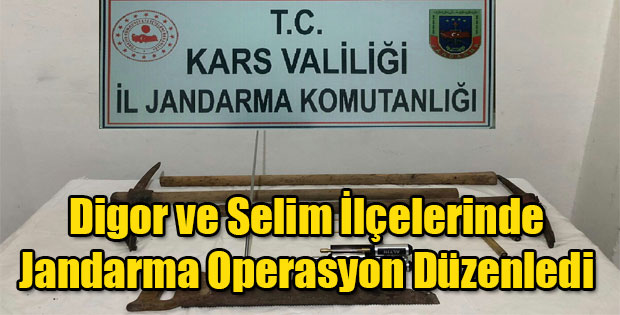 JANDARMA SELİM VE DİGOR İLÇELERİNDE OPERASYON DÜZENLEDİ