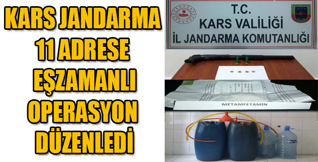 KARS JANDARMA 11 ADRESE OPERASYON DÜZENLEDİ